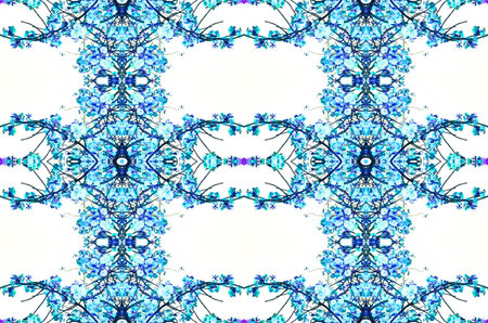 Soft blue cherry blossoms background