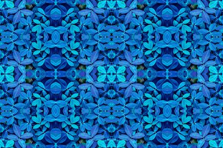 Blue leaves backgroundの写真素材
