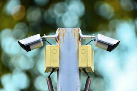 Two surveillance camera on nature abstact background