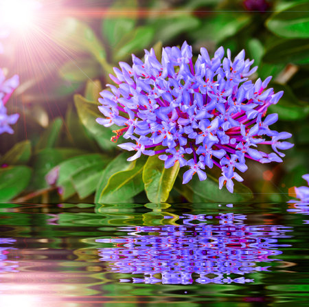 Violet spike flower blooming on tree and sun light with reflect