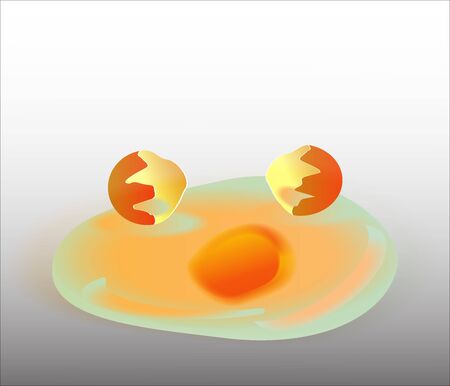 Broken Egg and fresh yolk on white lightのイラスト素材