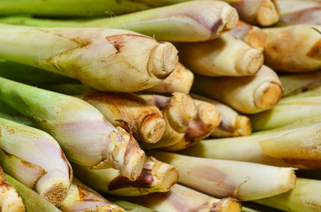 Lemongrass bundles for saleの写真素材
