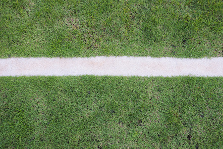 green grass with white stripes.の写真素材