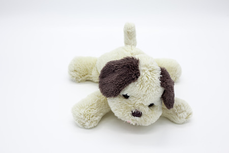 Dog doll on white backgroundの写真素材