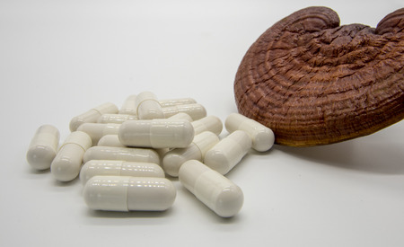 Lingzhi mushroom Red For Healthyの写真素材