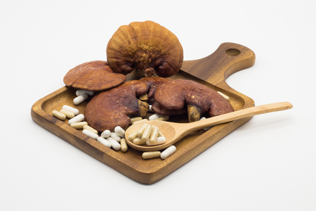 Lingzhi mushroom Red For Healthyの写真素材