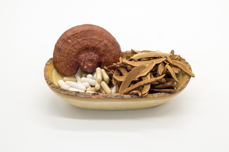 Lingzhi mushroom Red For Healthyの写真素材