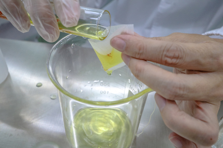 Safflower is tested to be a supplement and medicineの写真素材