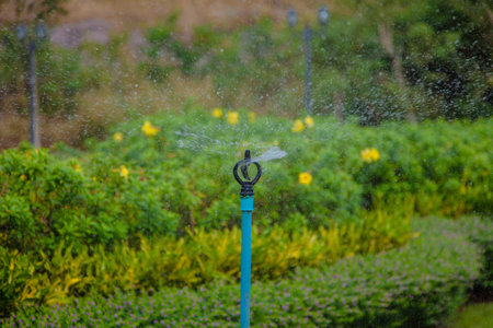 Garden decoration nature, outdoor, park