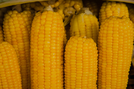 corn boil In the Thai marketの写真素材