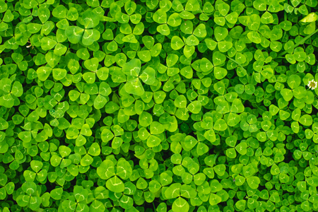 Abstract art background beautiful closeupの写真素材