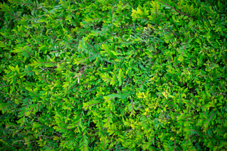 Abstract art background beautiful closeupの写真素材