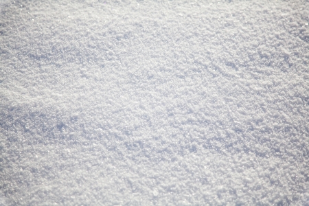 Winter snow texture backgroundの写真素材