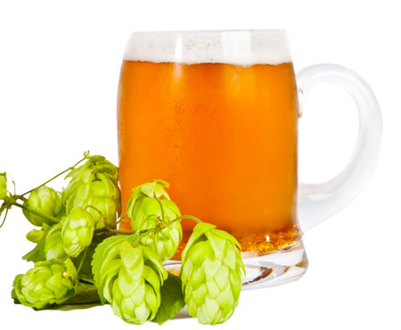 Glass of beer with foam and branch of hop