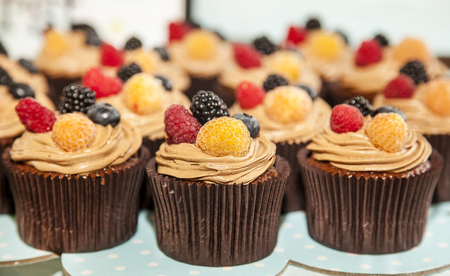 Chocolate cupcake with berriesの写真素材