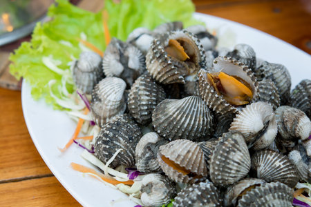 steamed cockle clams on dish
