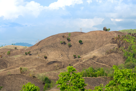 The problem of deforestation in the North Mountain in Thailandの写真素材