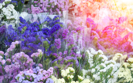 Colorful dried  flower in plastic bag , flower shop in market ,for backgroundの写真素材