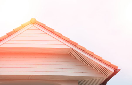 gabled roof vintage house with a roof