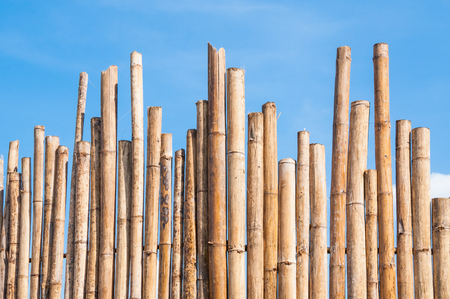 beautiful Bamboo Fence with blue skyの写真素材