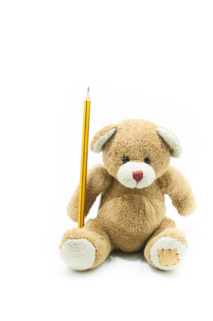 Brown teddy bear toy sitting holding yellow pencil on white background,for education backgroundの写真素材