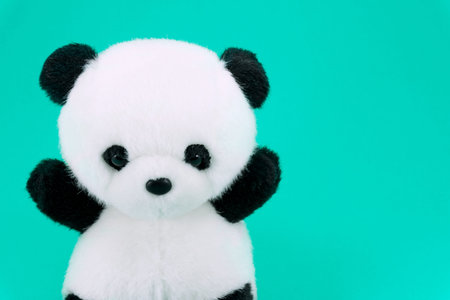 Panda doll black and white, black rim of eyes,panda toy for children on green background