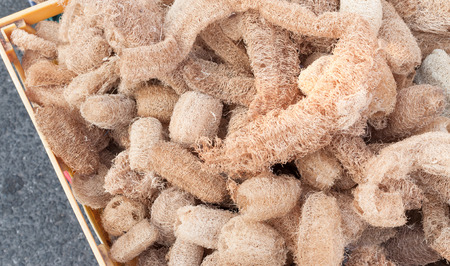 Dry sponge from zucchini use for scrub body skin in spa shop in the marketの写真素材