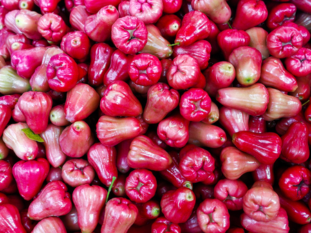 Freshly fruit rose apple fruit or jambu airon display for sale at marketの写真素材