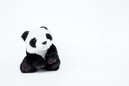 Panda doll black and white, black rim of eyes,panda toy for kid on white backgroundの写真素材