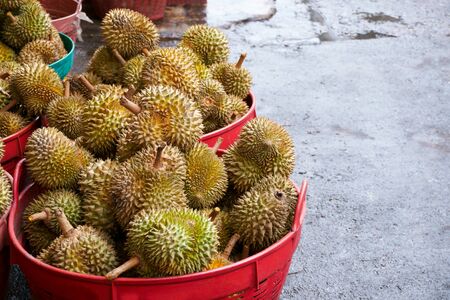 Durian in the market.Taste of durian fruit buffet festivalの写真素材