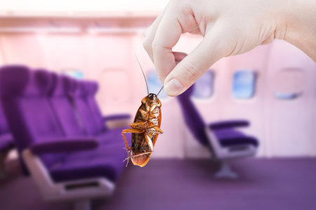 Hand holding cockroaches with Airplane cabine with compartments background, disturbances was...