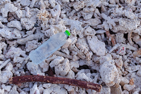Plastic bottles on Dead coral reefs, Garbage Plastic spill are left on the beach as waste polluting nature, Plastic is hard to degrade, destroy the ecosystem, World environment day concept.の写真素材
