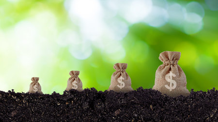Money bag in a savings on soil with sunlight bokeh green nature background. Business investment...