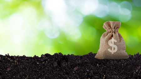 Money bag in a savings on soil with sunlight bokeh green nature background. Business investment ideas and financial growthの写真素材