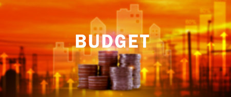 Budget Financial planning and management concept, Company budget allocation for business project...