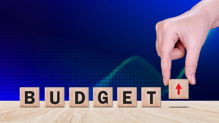 Budget Financial planning and management concept, Company budget allocation for business project...