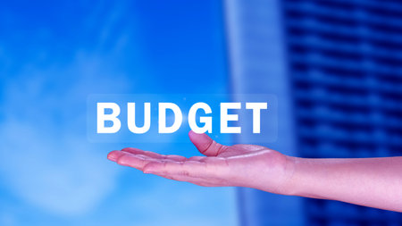 Budget Financial planning and management concept, Company budget allocation for business project...