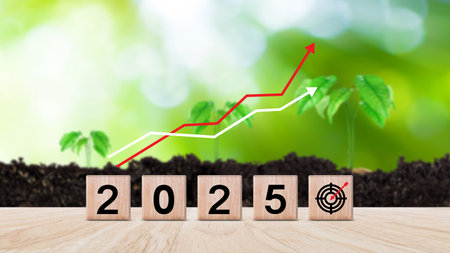 2025 goal plan action, Business plan and strategies, Annual plan and development for achieving...