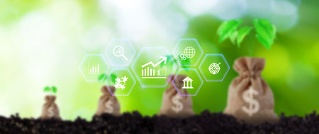 Finance Gdp growth strategy plan concept, finance and investment, Diversification management,...
