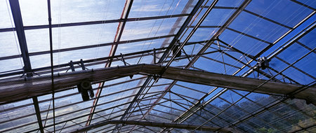 Agriculture glasshouse for growing plants. not aiの写真素材