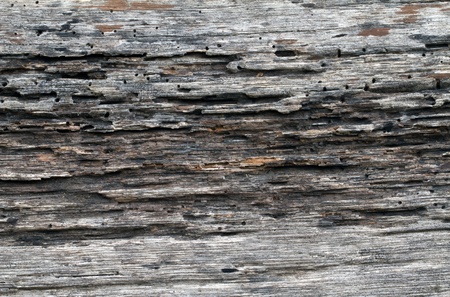 wooden line texture の写真素材