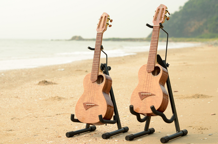 Ukuleles at the beachの写真素材