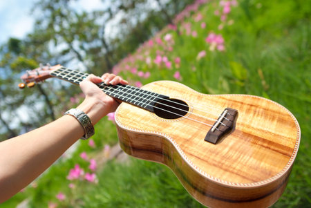 Hand hold an Ukulele