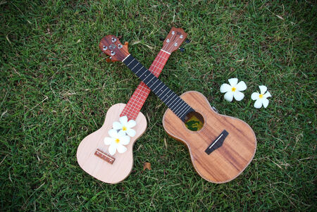 Ukuleles on grassの写真素材