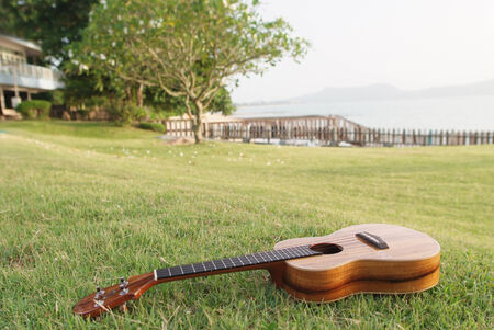 Ukulele put on the grassの写真素材