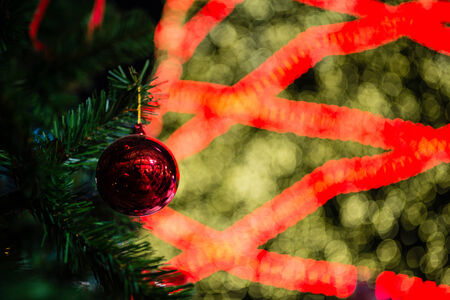 Christmas baubles on a Cedar tree branch (chrismas)の写真素材