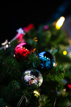 Christmas baubles on a Cedar tree branch (chrismas)の写真素材