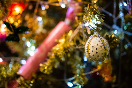 Christmas baubles on a Cedar tree branch (chrismas)の写真素材