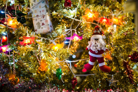 Santa clause on Christmas tree branch (chrismas)の写真素材