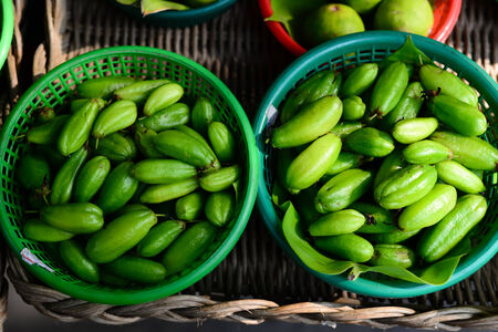Fresh garcinia sour flavor lots of vitamin C the tropical Thai herb sale in Thailand market, madanの写真素材